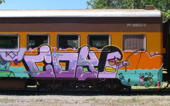 train-17-556x349